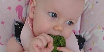 baby college baby eating brocolli