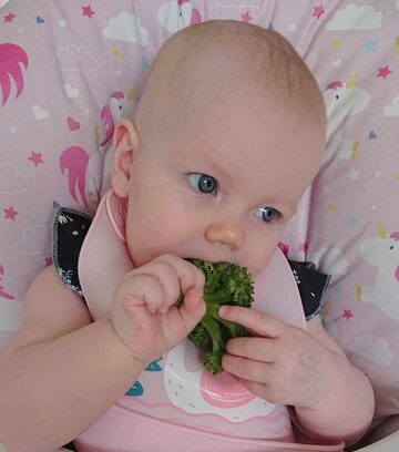 baby college baby eating brocolli