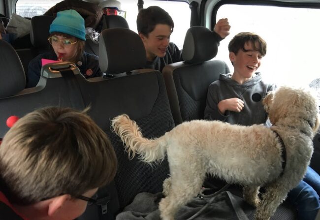 chaos in the car